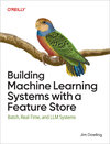 Building Machine Learning Systems with a Feature Store, by Jim Dowling